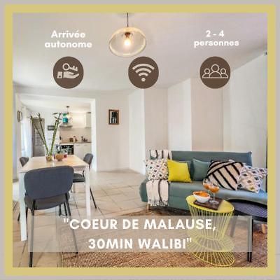 Le Gite 1 - Appartement T2 De 53M2, Ideal Pro Ou Couples, Coeur De Ville Et Proche Golfech Malause 외부 사진